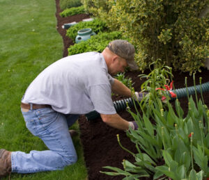 landscaper