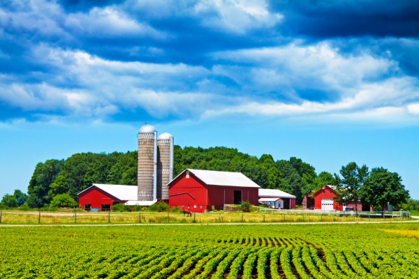 Scenic Farms