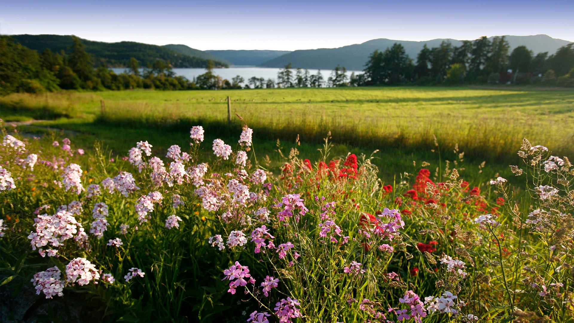 Saanich Peninsula Farm Scenic