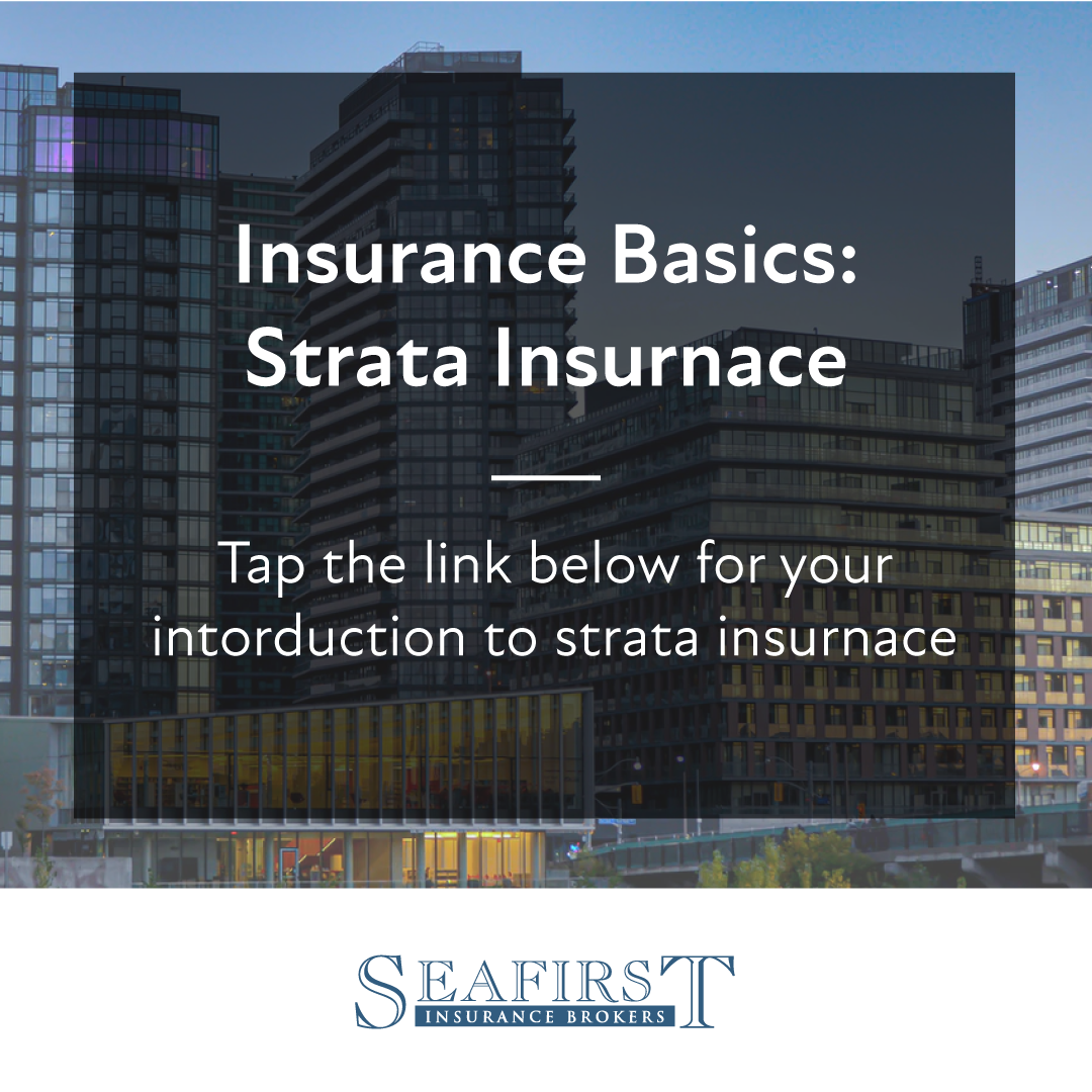 Insurance Basics Strata Insurance SeaFirst Insurance